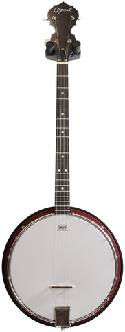 Ozark 2099T Tenor Banjo and Gigbag