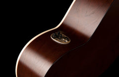 Art & Lutherie Legacy Bourbon Burst