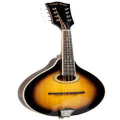 Gold Tone GM-50+ Mandolin