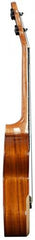 Barnes & Mullins Concert Ukulele BMUK5C
