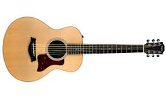 Taylor GS Mini-e RW