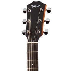 Taylor Academy 12e